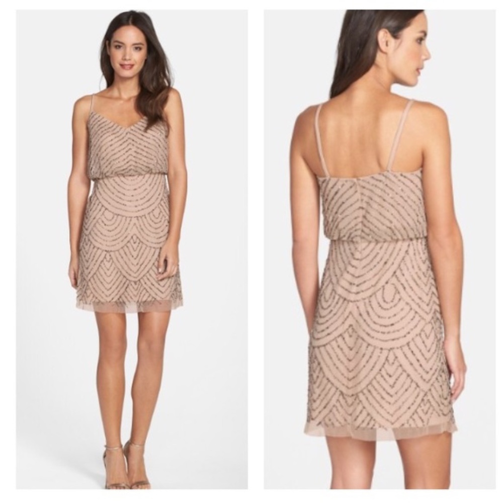 NEW Adrianna Papell Sequin Mesh Blouson Dress Size 6